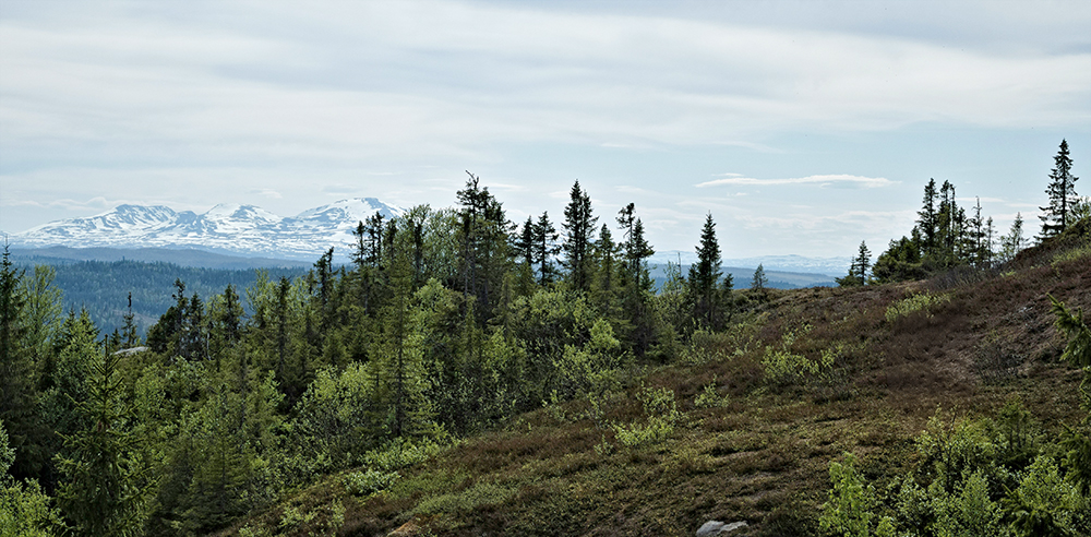 åres vackra landskap